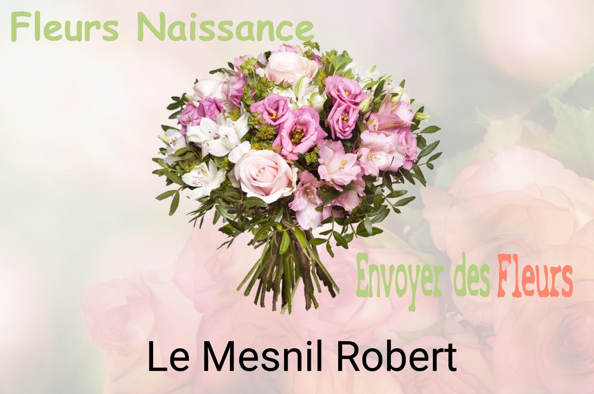 Bouquet de fleurs de naissance livré à Le Mesnil-Robert